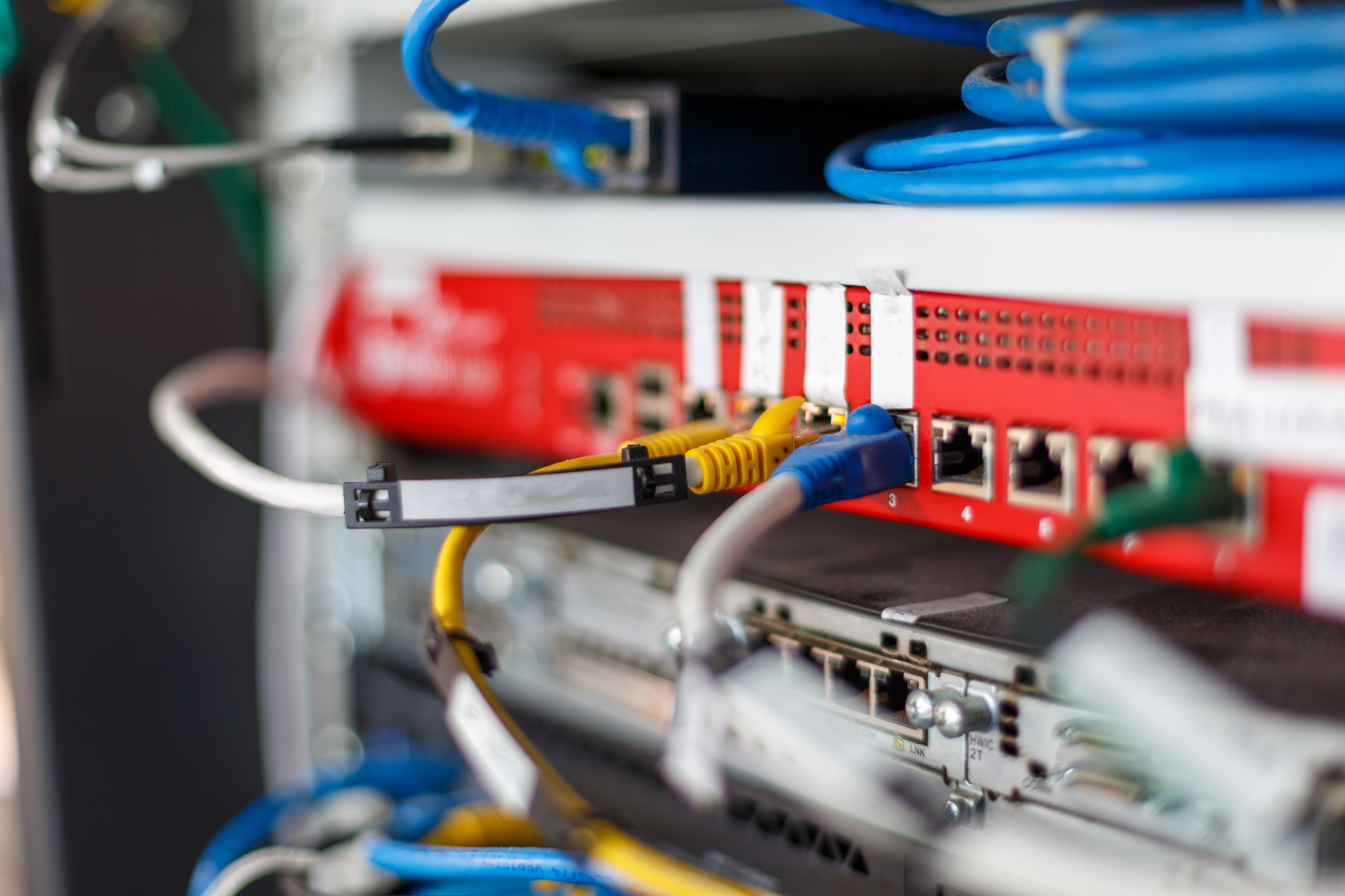 Image of computer connections; courtesy of Shutterstock.